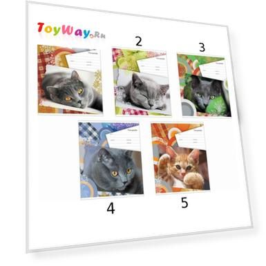 Тетрадь 18 листов Линейка «Lazy Kitten»
