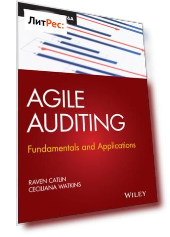 Agile Auditing