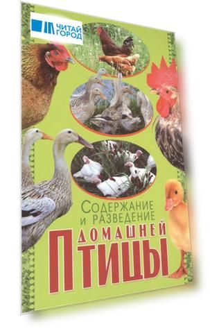 Содержание и разведение домашней птицы