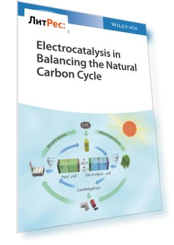 Electrocatalysis in Balancing the Natural Carbon Cycle